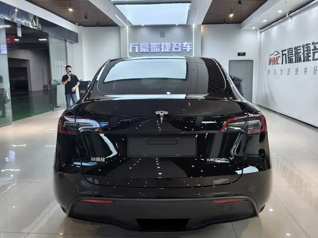Tesla Model Y — миниатюра 3