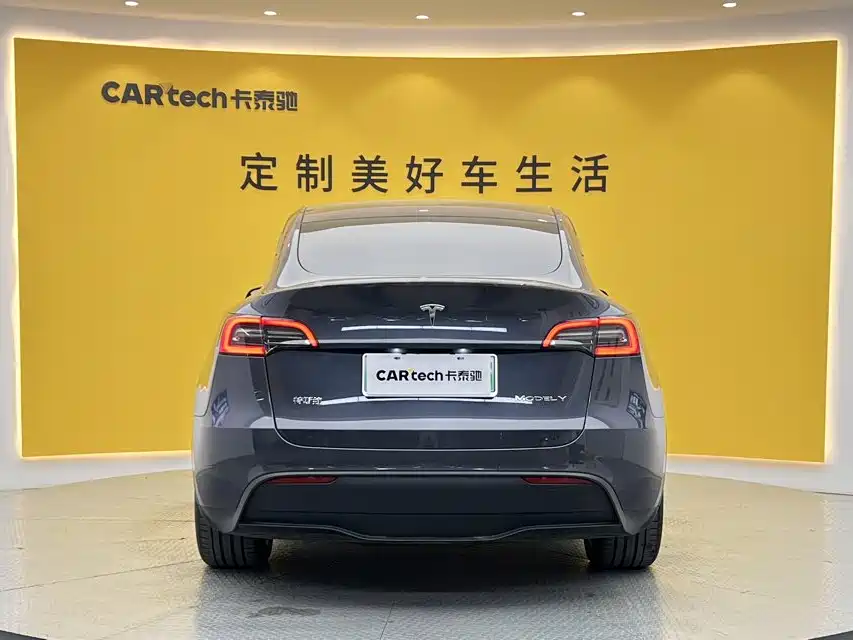 Tesla Model Y — миниатюра 5