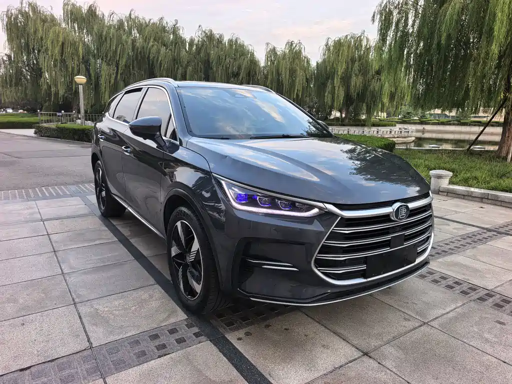 BYD Tang New Energy — миниатюра 2