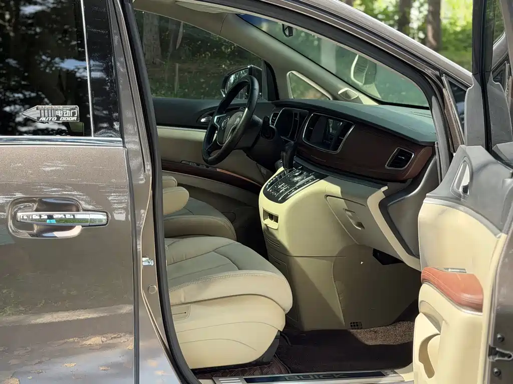 Buick GL8 — миниатюра 11