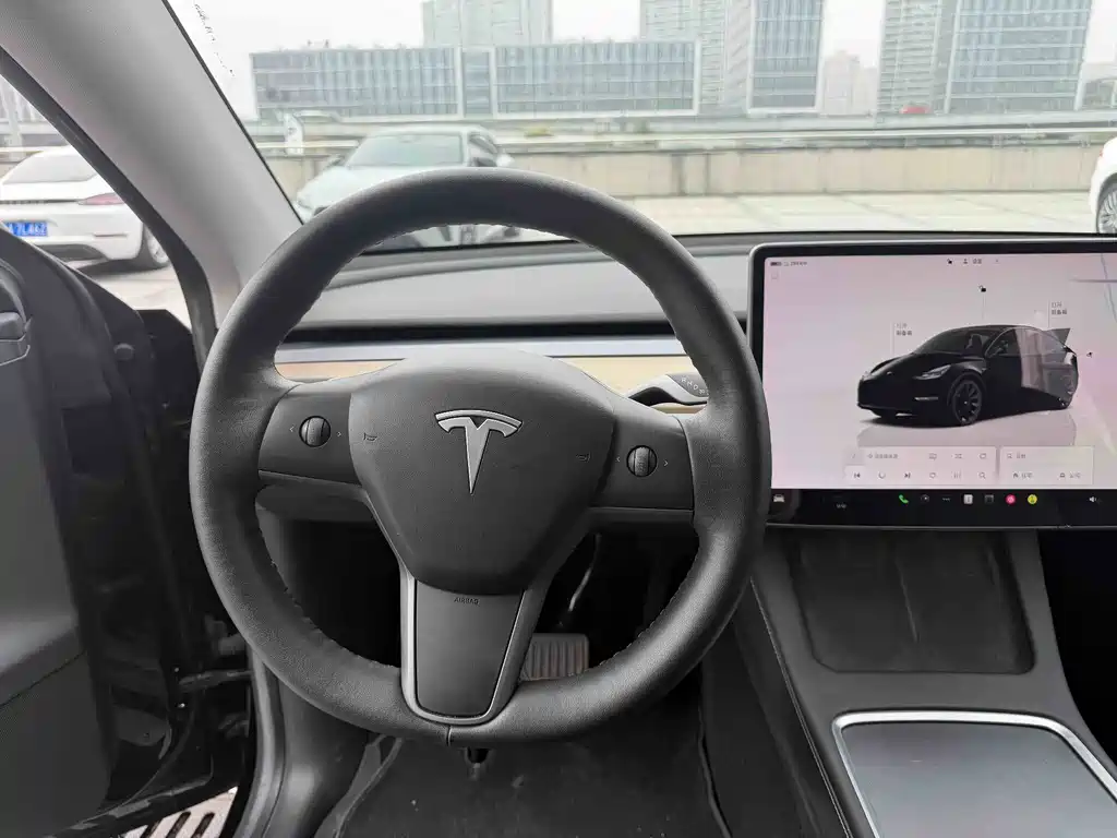 Tesla Model Y — миниатюра 10