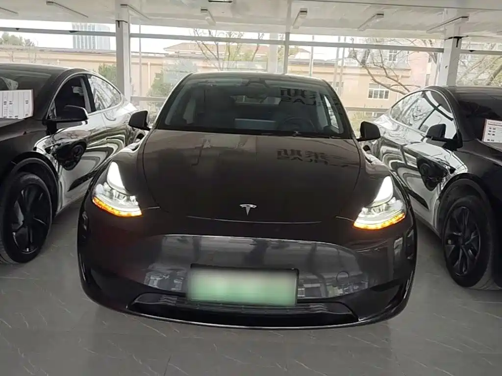 Tesla Model Y — миниатюра 3