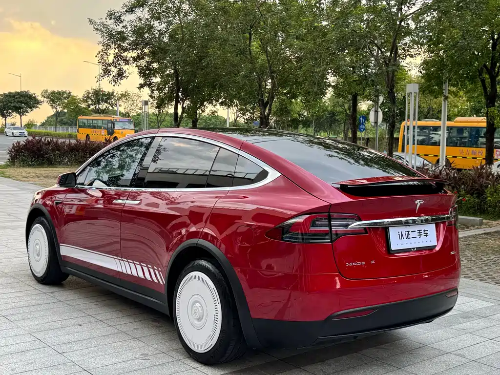 Tesla Model X — миниатюра 19