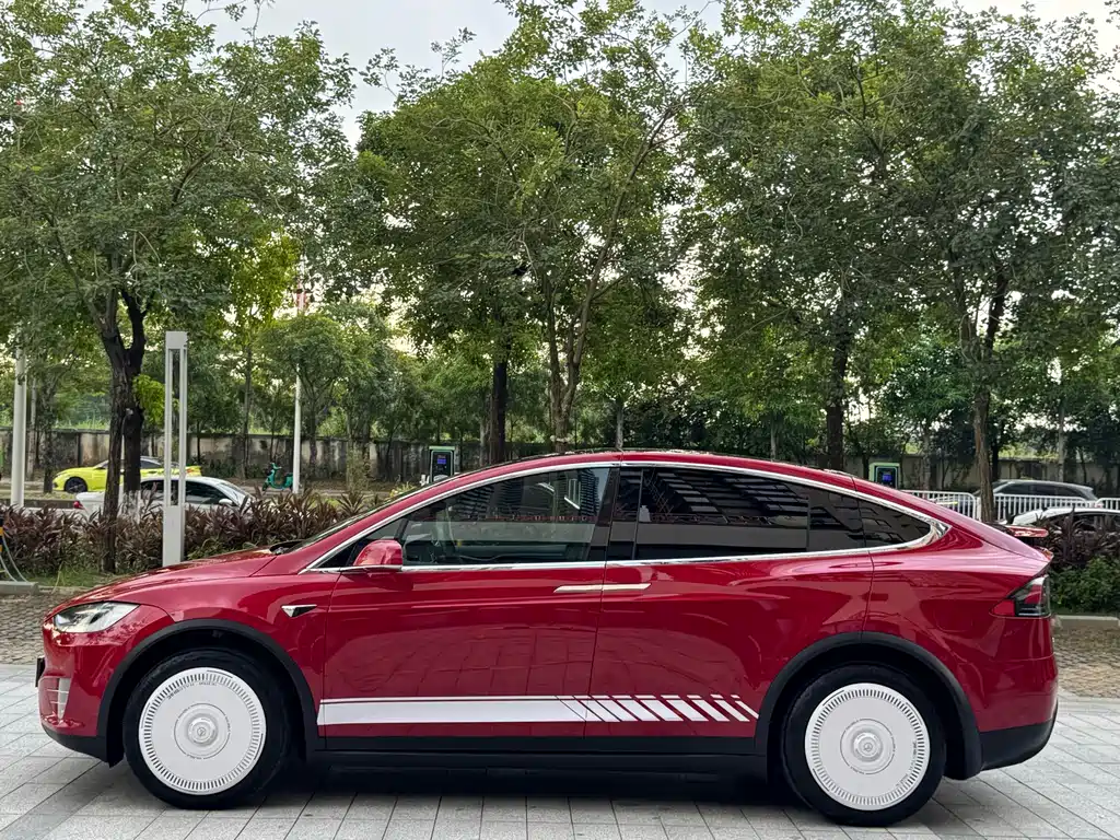 Tesla Model X — миниатюра 20
