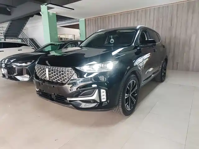 2020 Wey VV6
