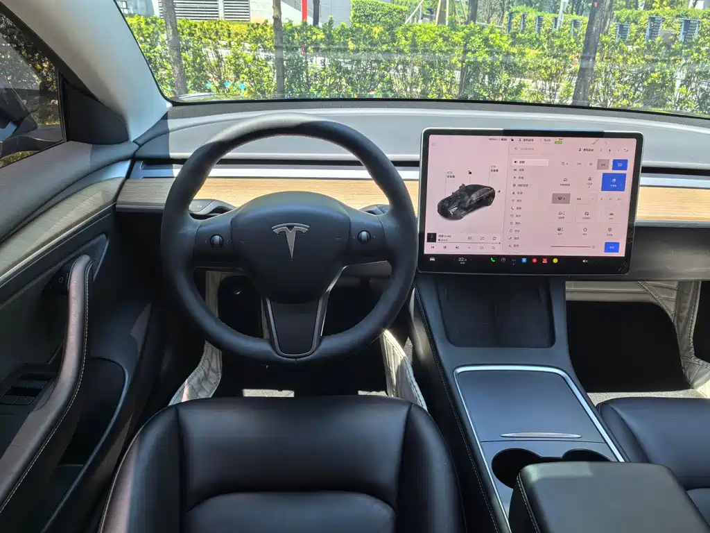 Tesla Model 3 — миниатюра 11