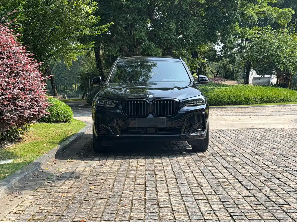BMW X3 — миниатюра 3