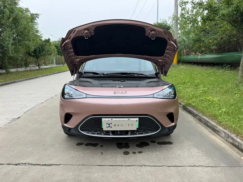 smart Smart #1 — миниатюра 2