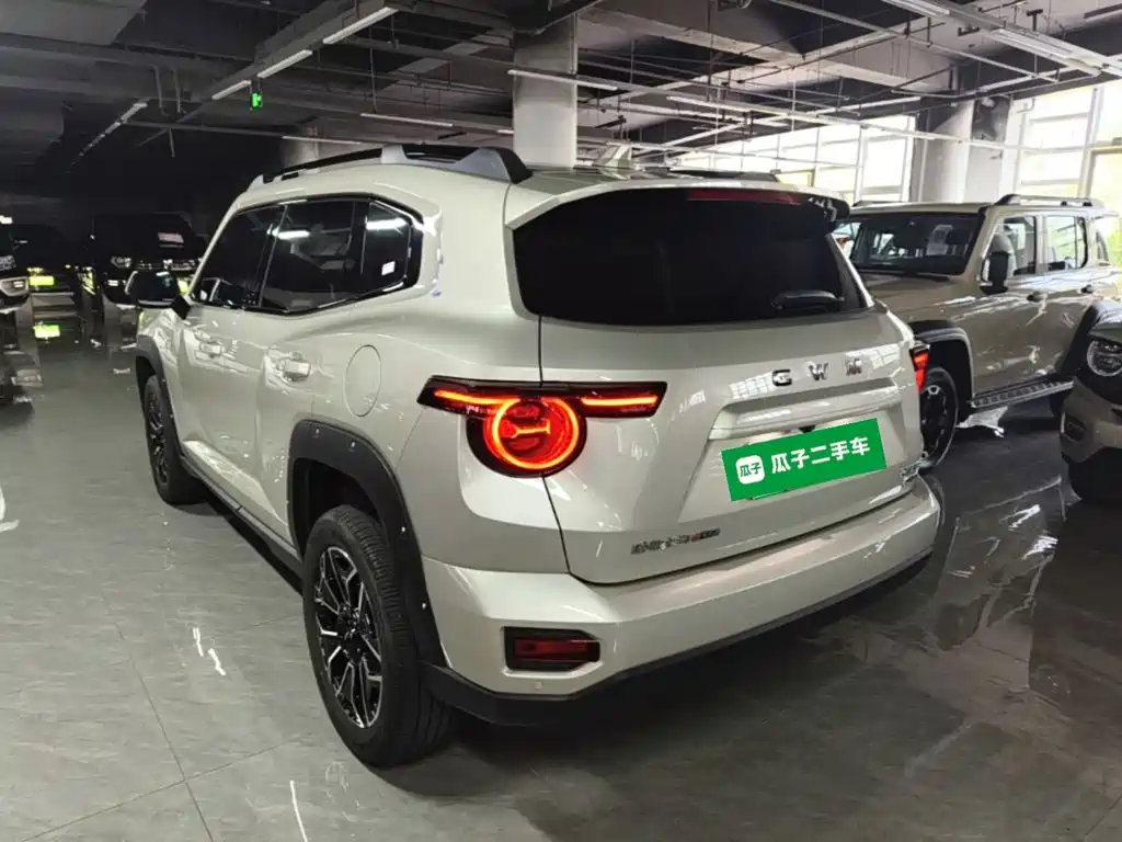 Haval Big Dog PLUS New Energy — миниатюра 5