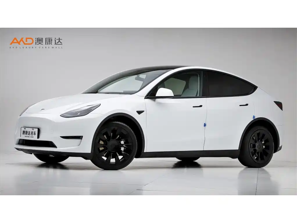 Tesla Model Y 2023 Long Range AWD Edition