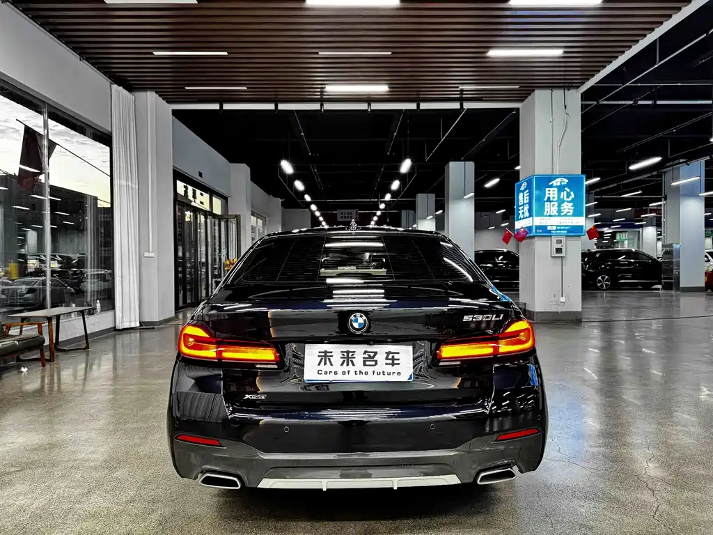 BMW 5 Series — миниатюра 15