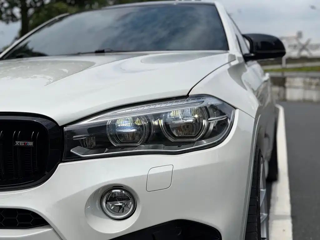 BMW X6 M X6 M, фото 9