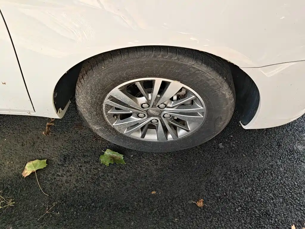 Geely Emgrand — миниатюра 8