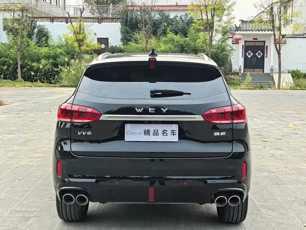 Wey Wey VV6 — миниатюра 5