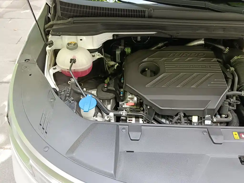 Kia Carnival — миниатюра 19