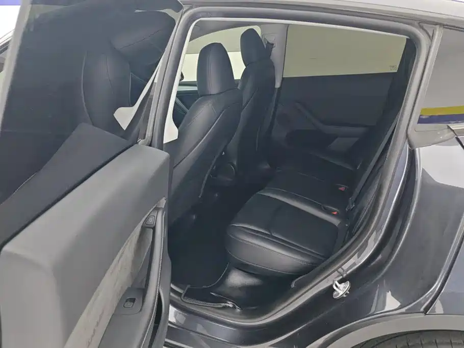 Tesla Model Y — миниатюра 11