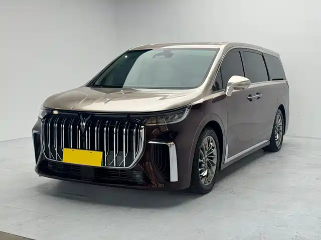 2022 Voyah Dream