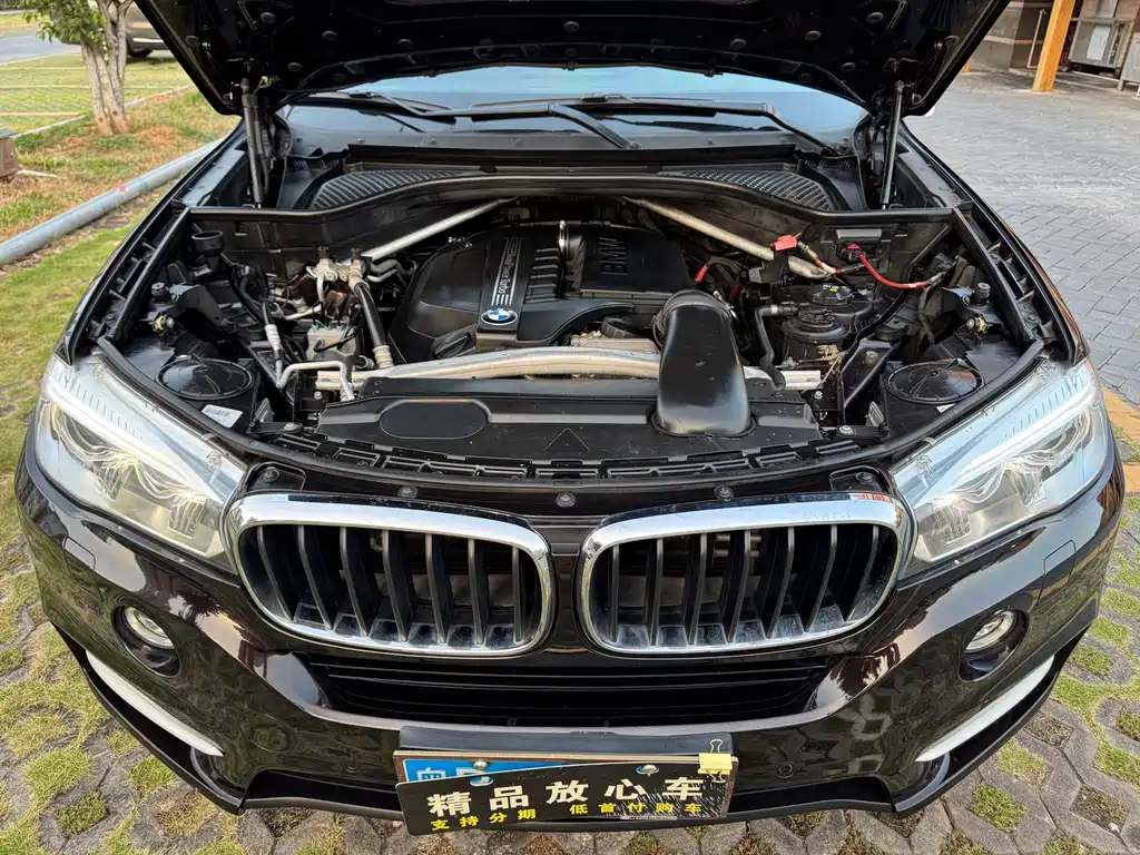 BMW X5 (Import) — миниатюра 20