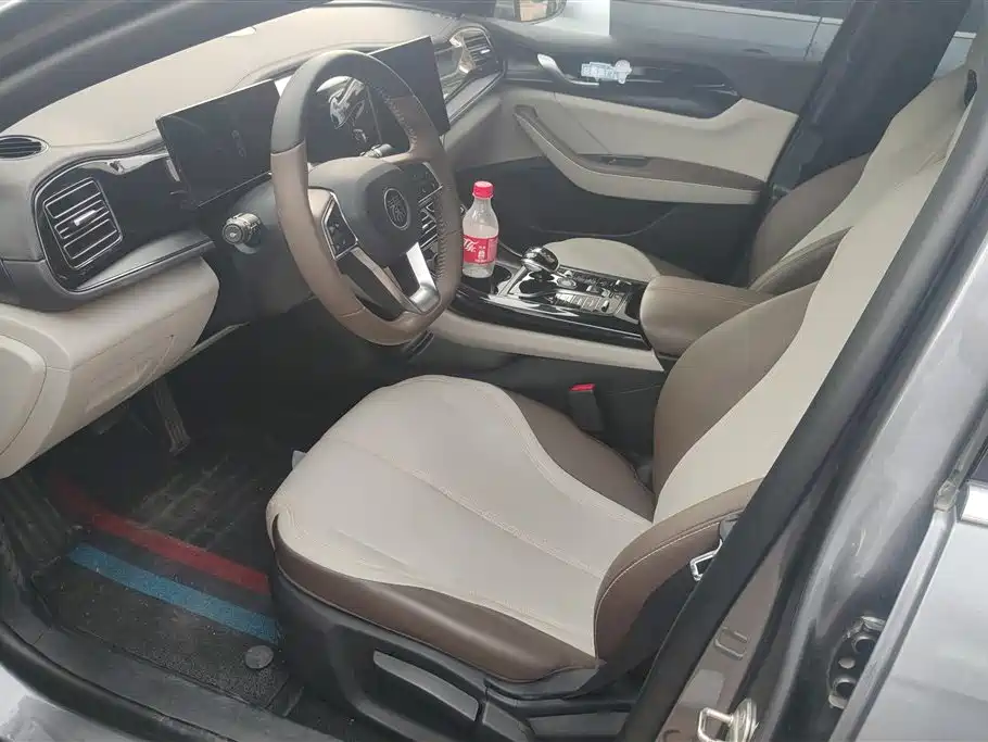 BYD Qin Plus PLUS 2024 DM-i 55KM