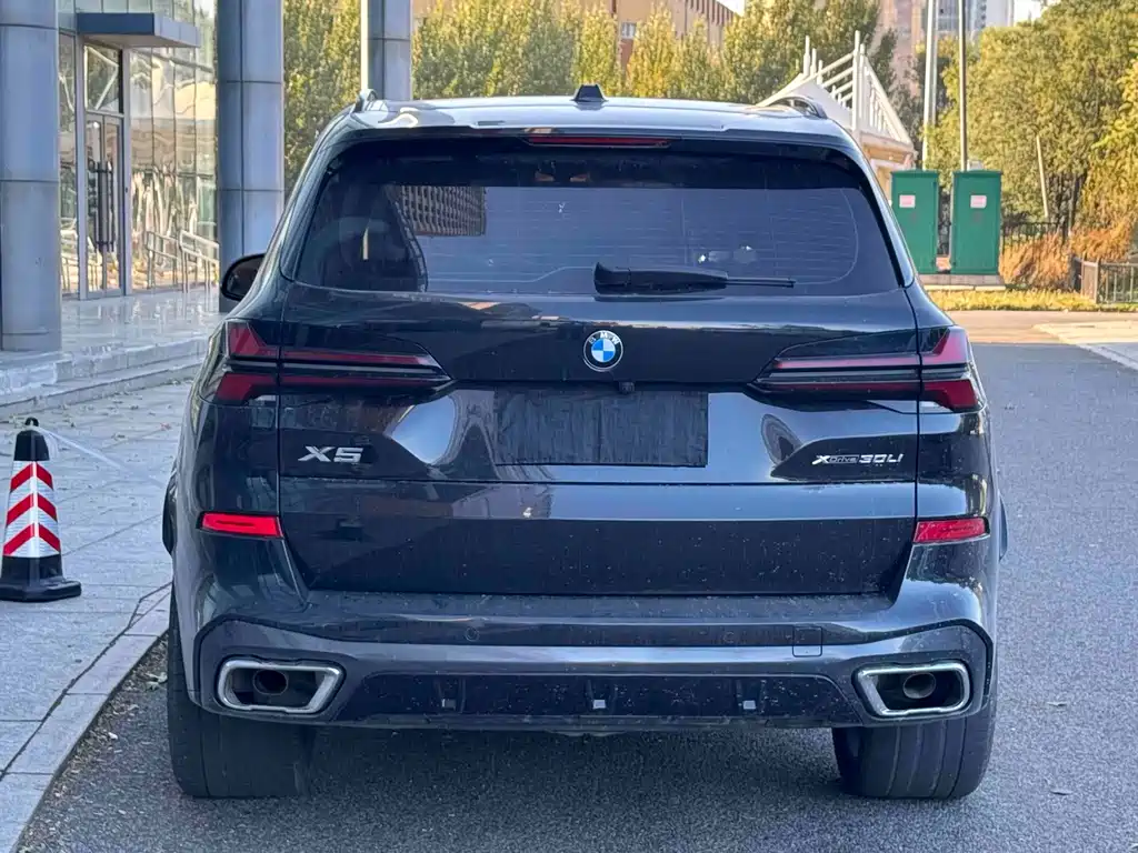 BMW X5 — миниатюра 5