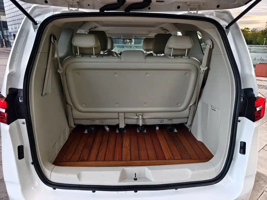 Buick GL8 — миниатюра 10