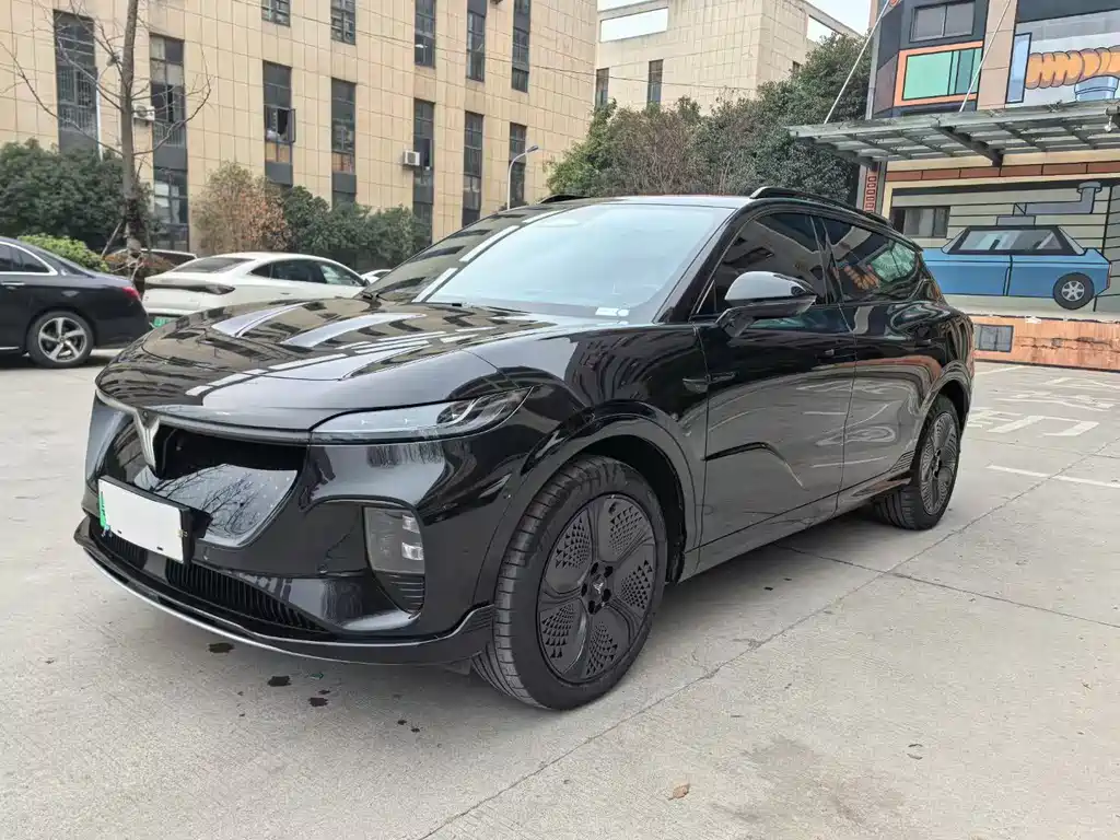 Voyah Wisdom Sound 2024 4WD Global Edition