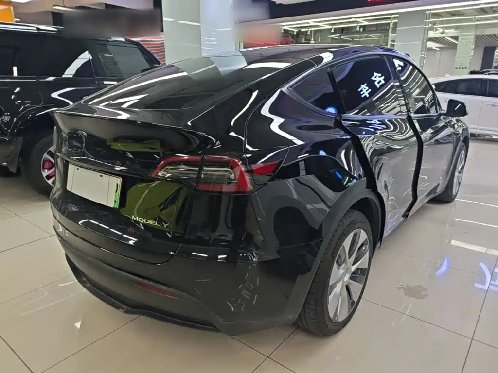 Tesla Model Y — миниатюра 7