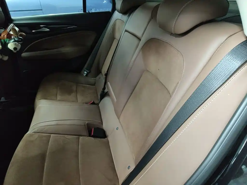Buick Regal — миниатюра 22
