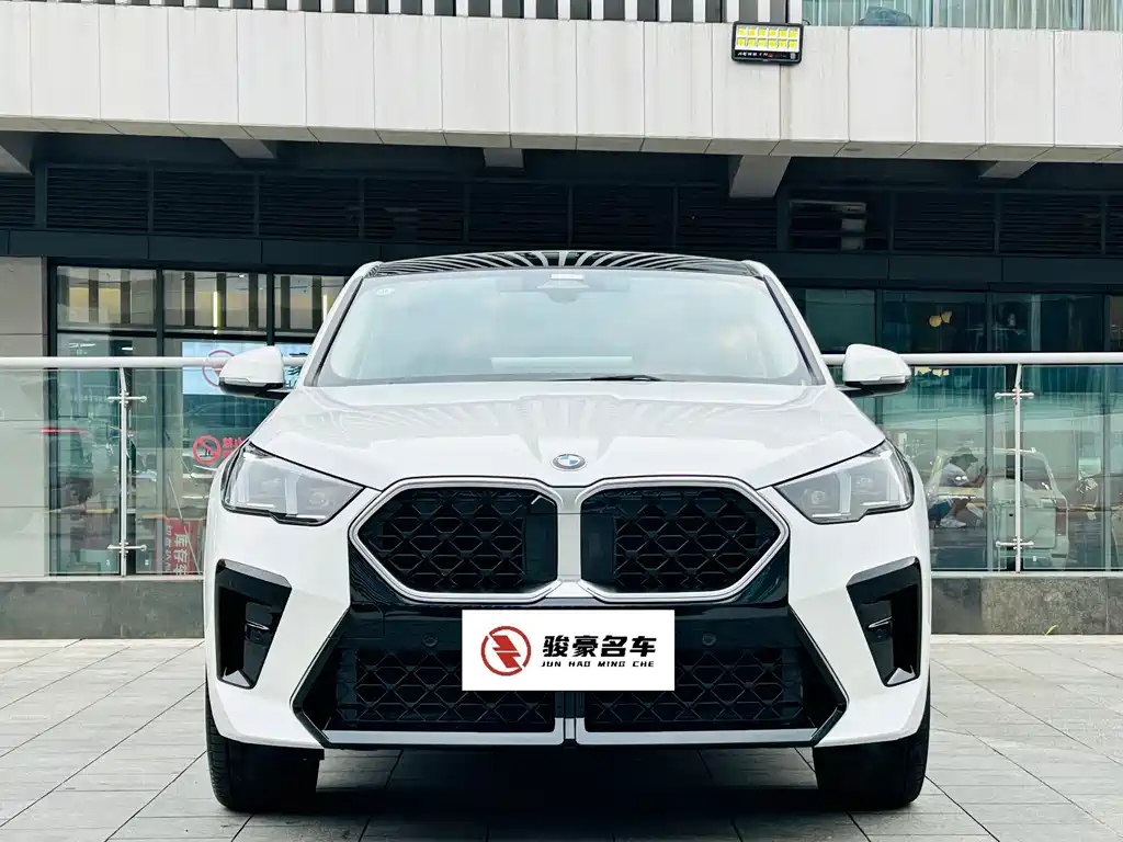 BMW X2 (Import) — миниатюра 2