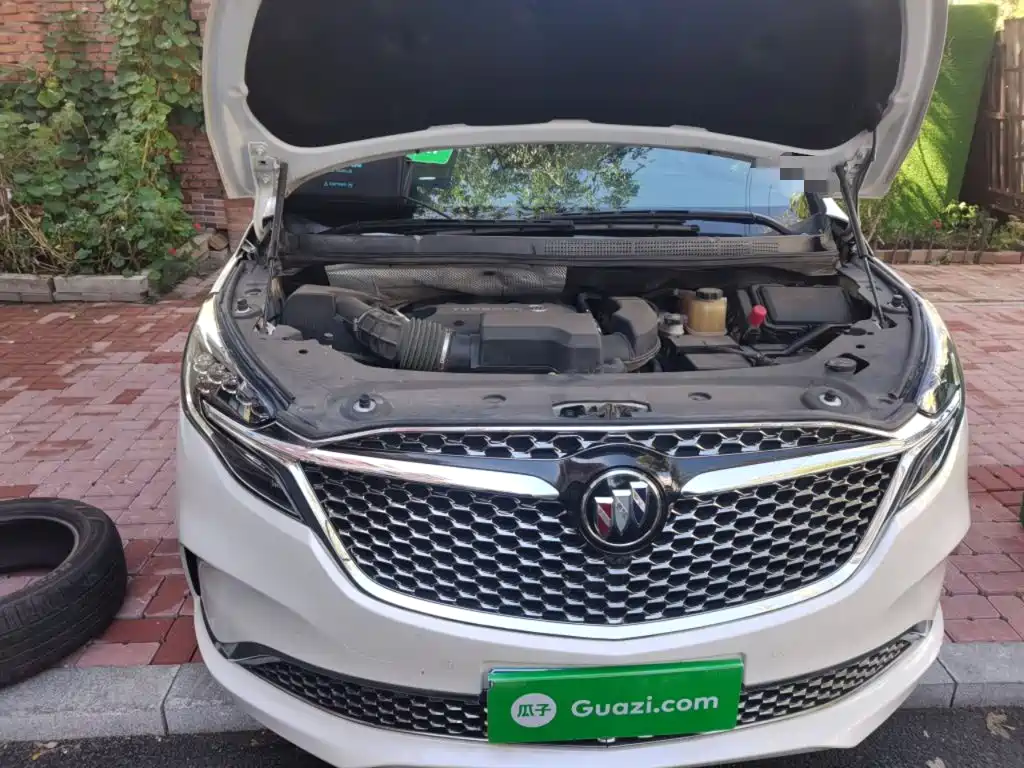 Buick GL8 — миниатюра 20