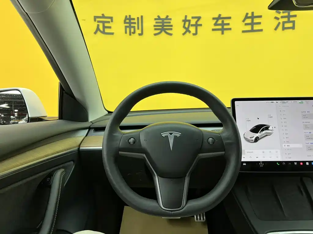 Tesla Model 3 — миниатюра 27