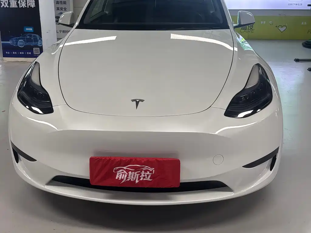 Tesla Model Y — миниатюра 2