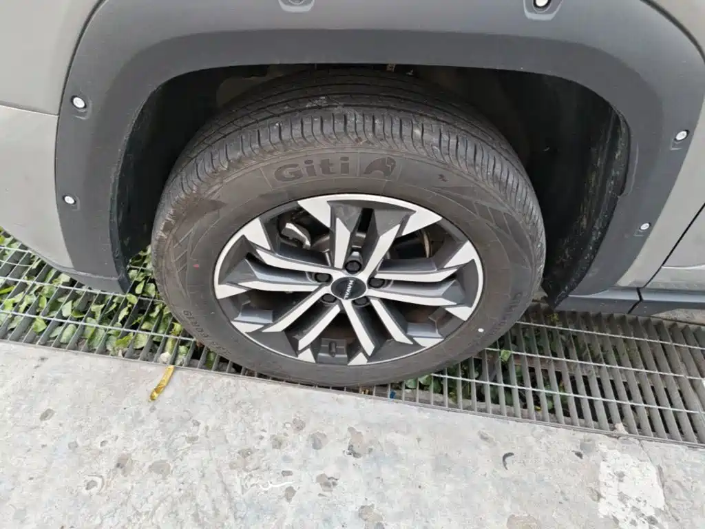 Haval Big Dog PLUS — миниатюра 23