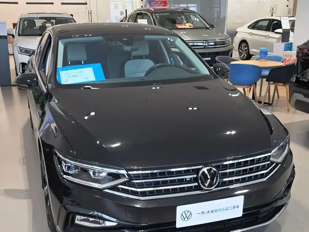 Volkswagen Magotan — миниатюра 2