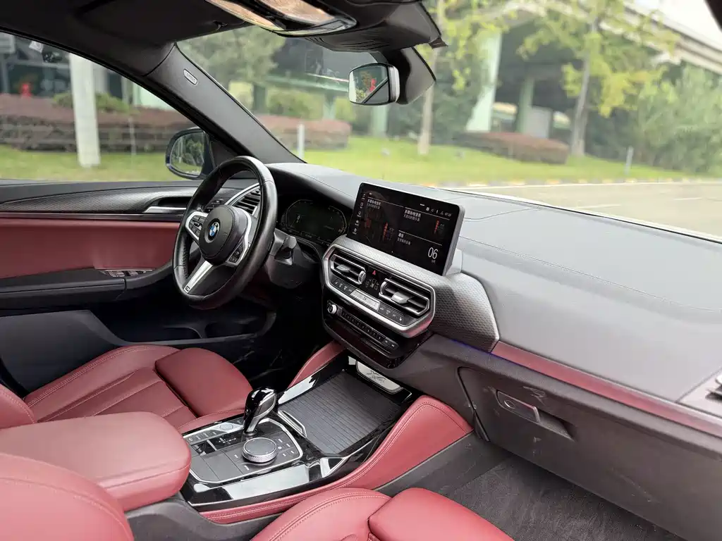 BMW X4 — миниатюра 12