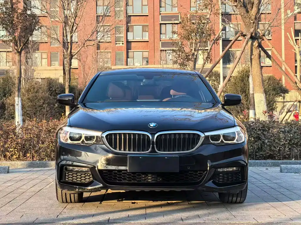 BMW 5 Series — миниатюра 2