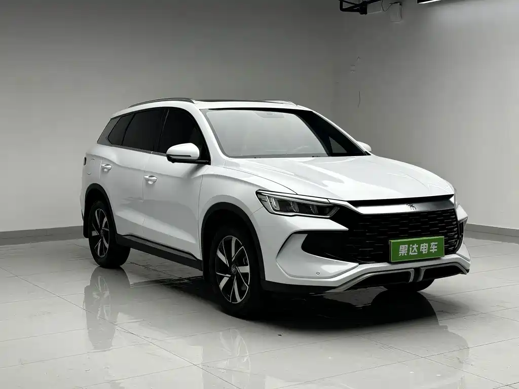 BYD Pro New Energy — миниатюра 3