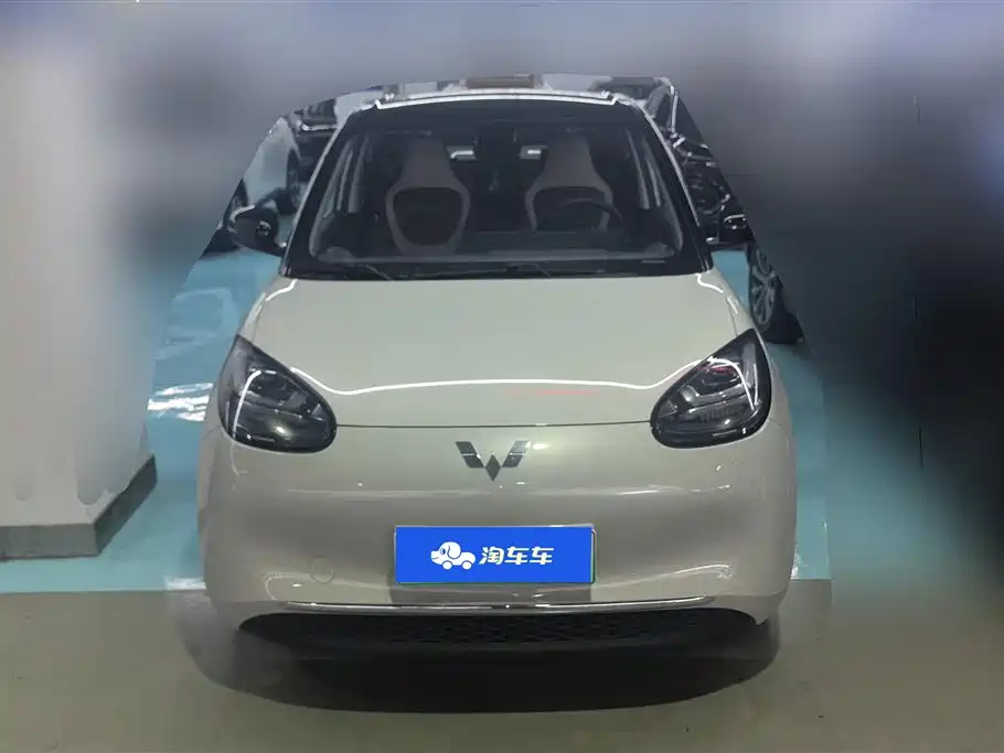 Wuling Binguo 2023 333km +