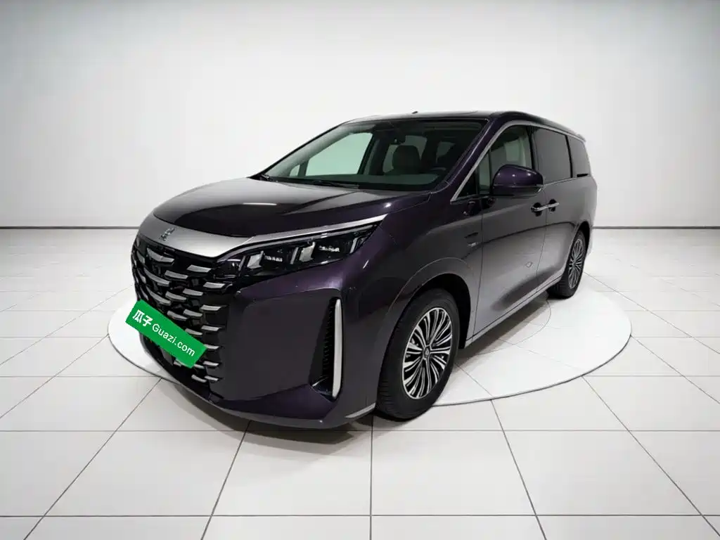 BYD Xia 2025 DM-i 1.5T 100km Super Plus Type