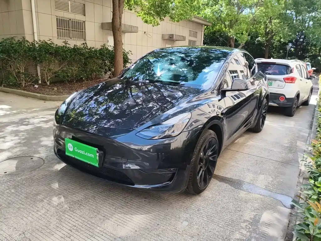 Tesla Model Y — миниатюра 2