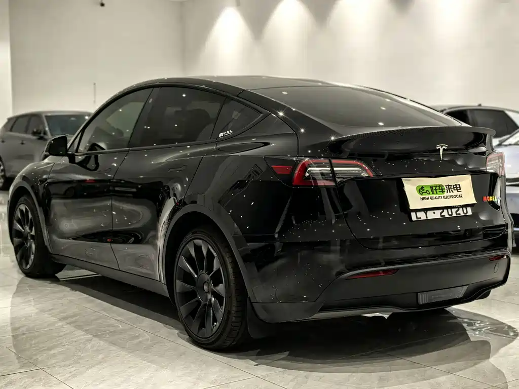 Tesla Model Y — миниатюра 6