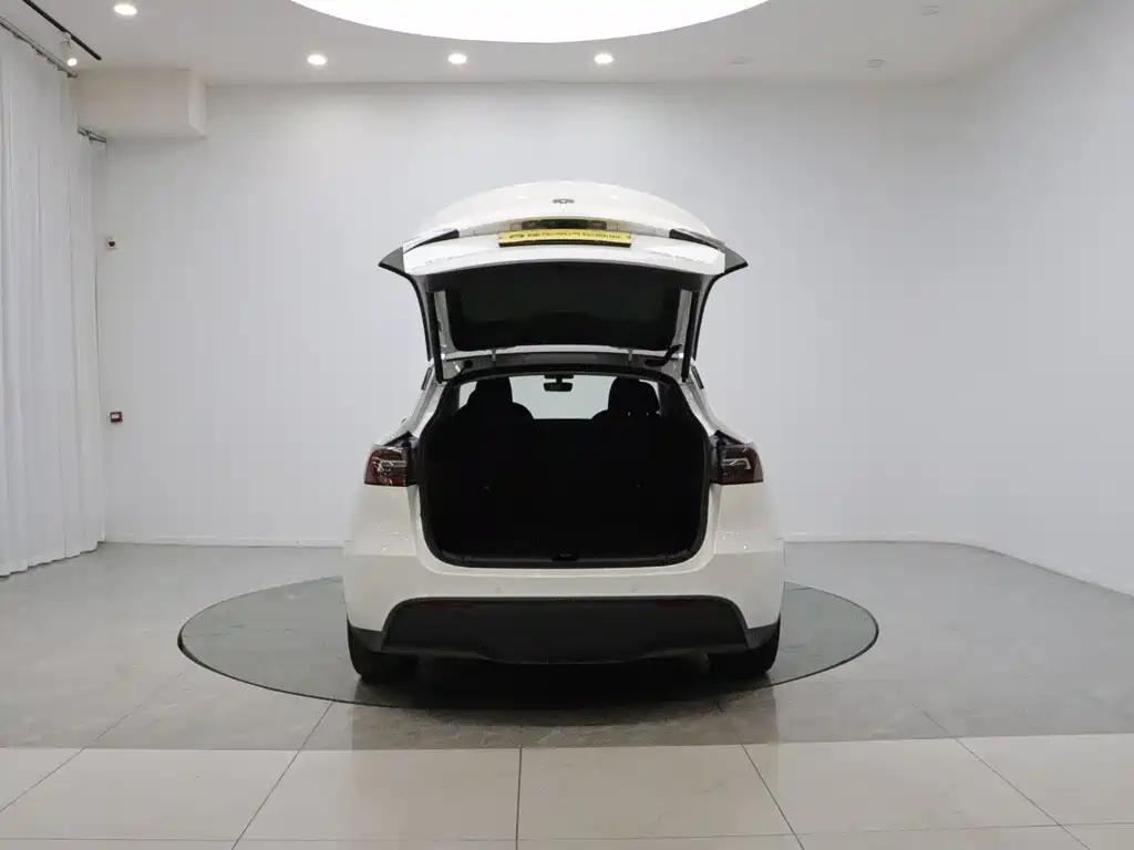 Tesla Model Y — миниатюра 9