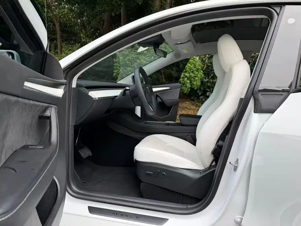 Tesla Model Y — миниатюра 6