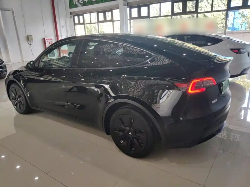 Tesla Model Y — миниатюра 5