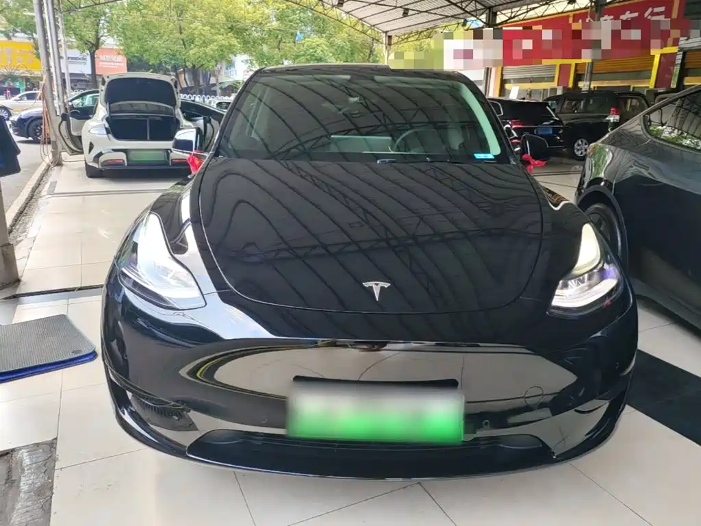 Tesla Model Y — миниатюра 3