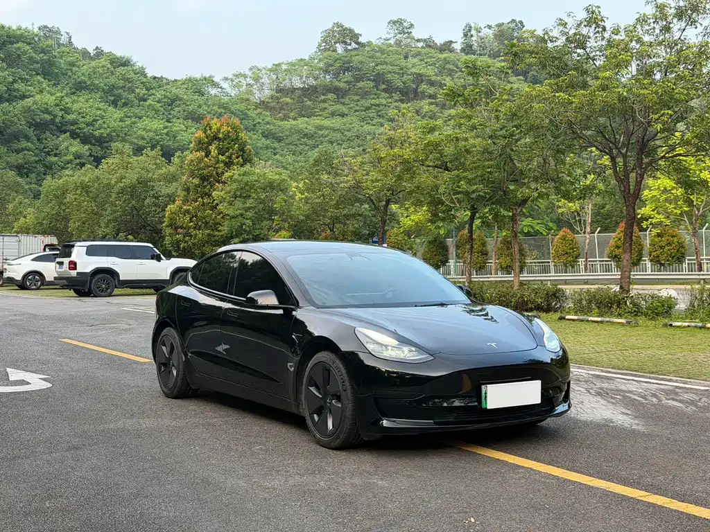 Tesla Model 3 — миниатюра 3