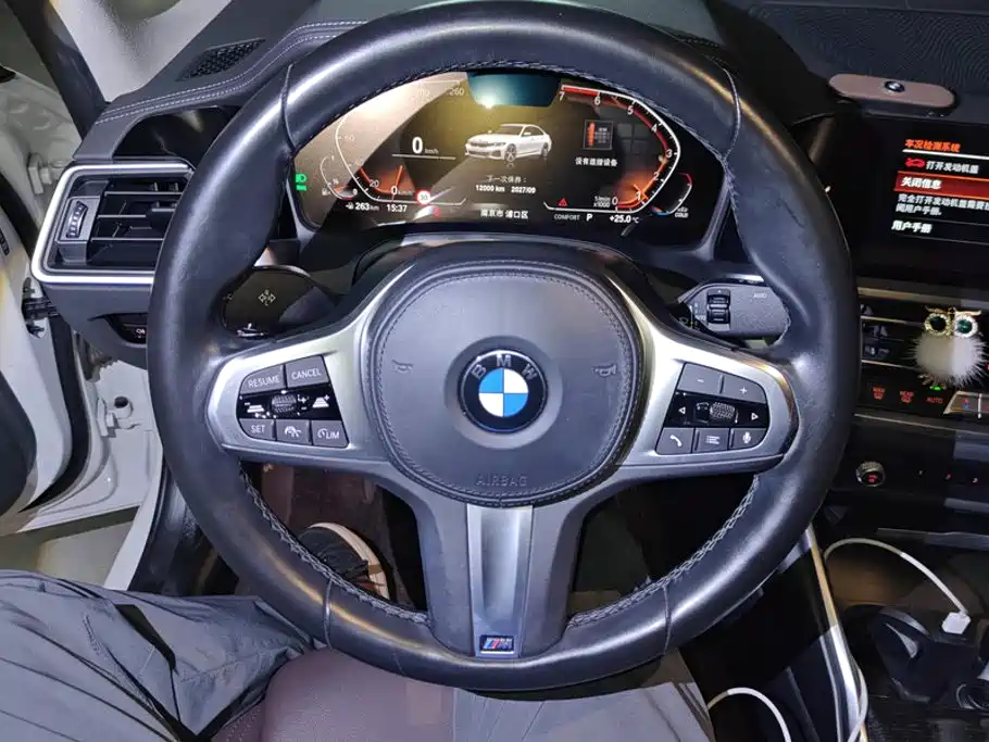 BMW 3 Series — миниатюра 15