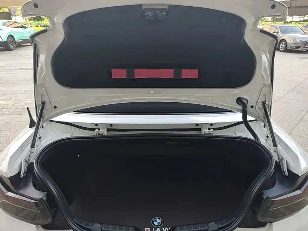 BMW 2 Series (Import) — миниатюра 19