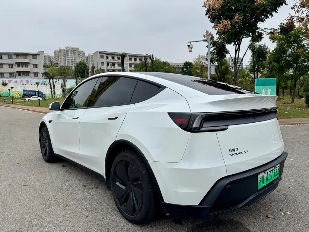 Tesla Model Y — миниатюра 14