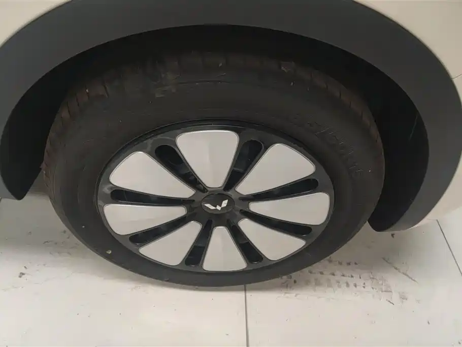 Wuling Binguo 2025 333km Premium
